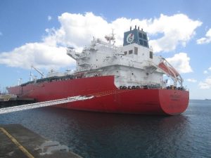 Cargo Surveys