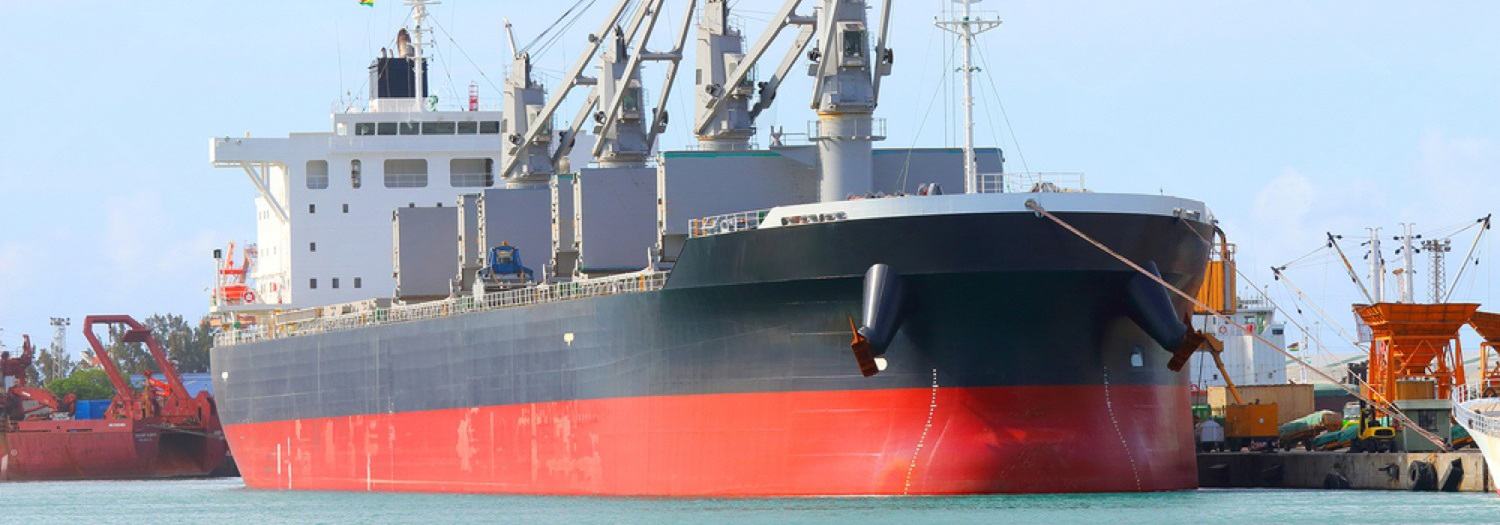 Ship Surveys